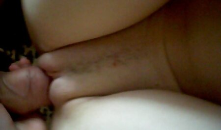 Những con ngựa phim sex girl xinh nhat ban già không làm hỏng những luống cày
